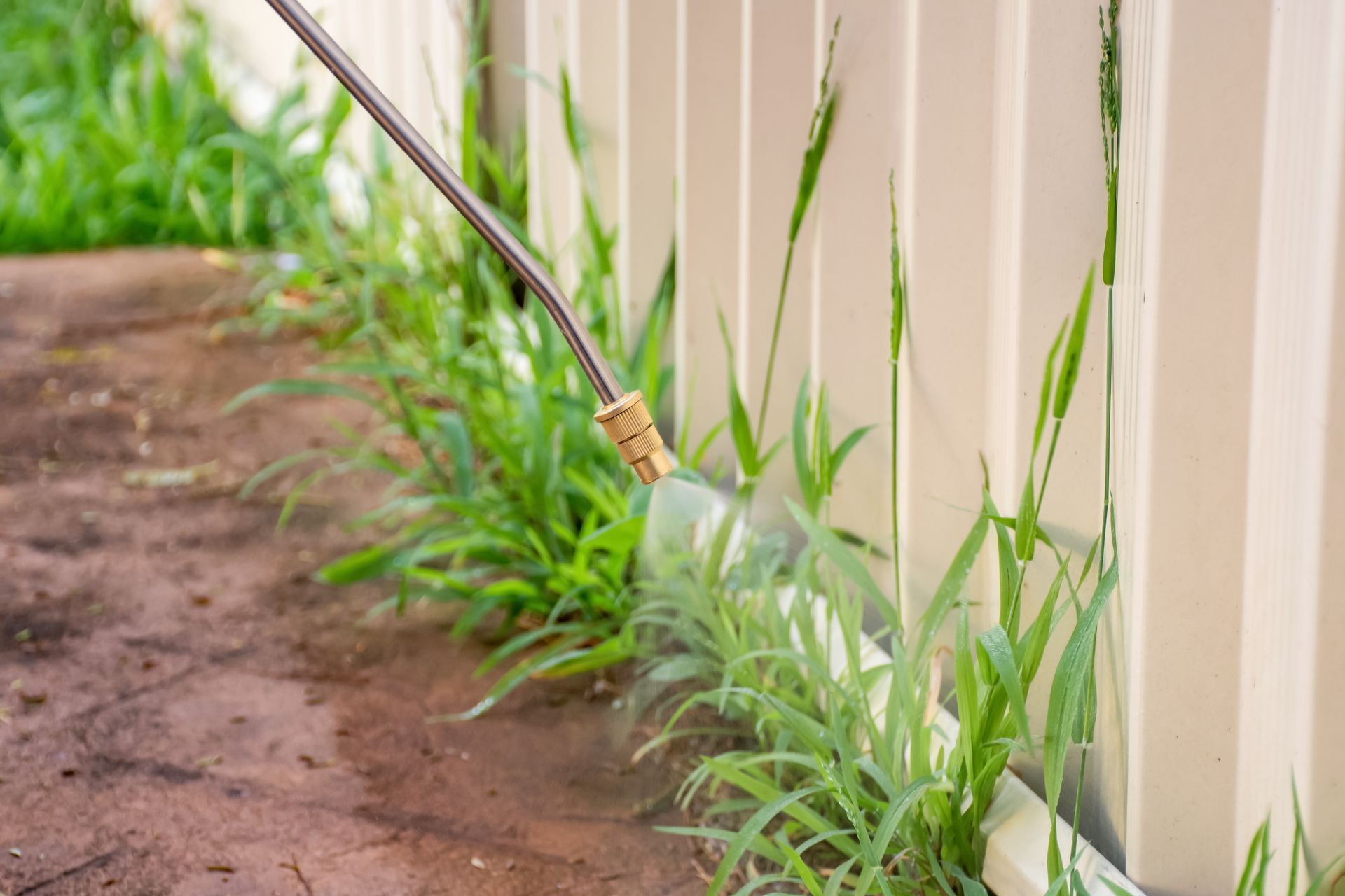 Spraying weeds along a beige fence with a nozzle; concrete ground, green grass.