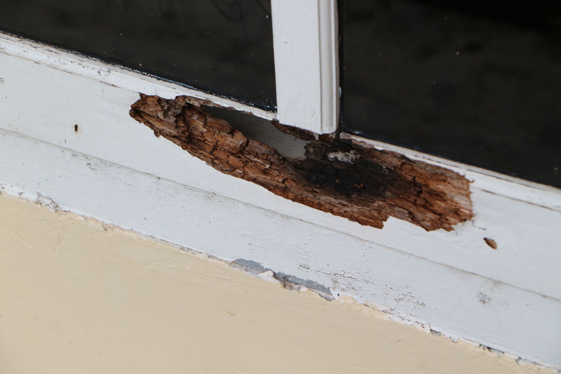 Window frame with significant wood rot and damage.