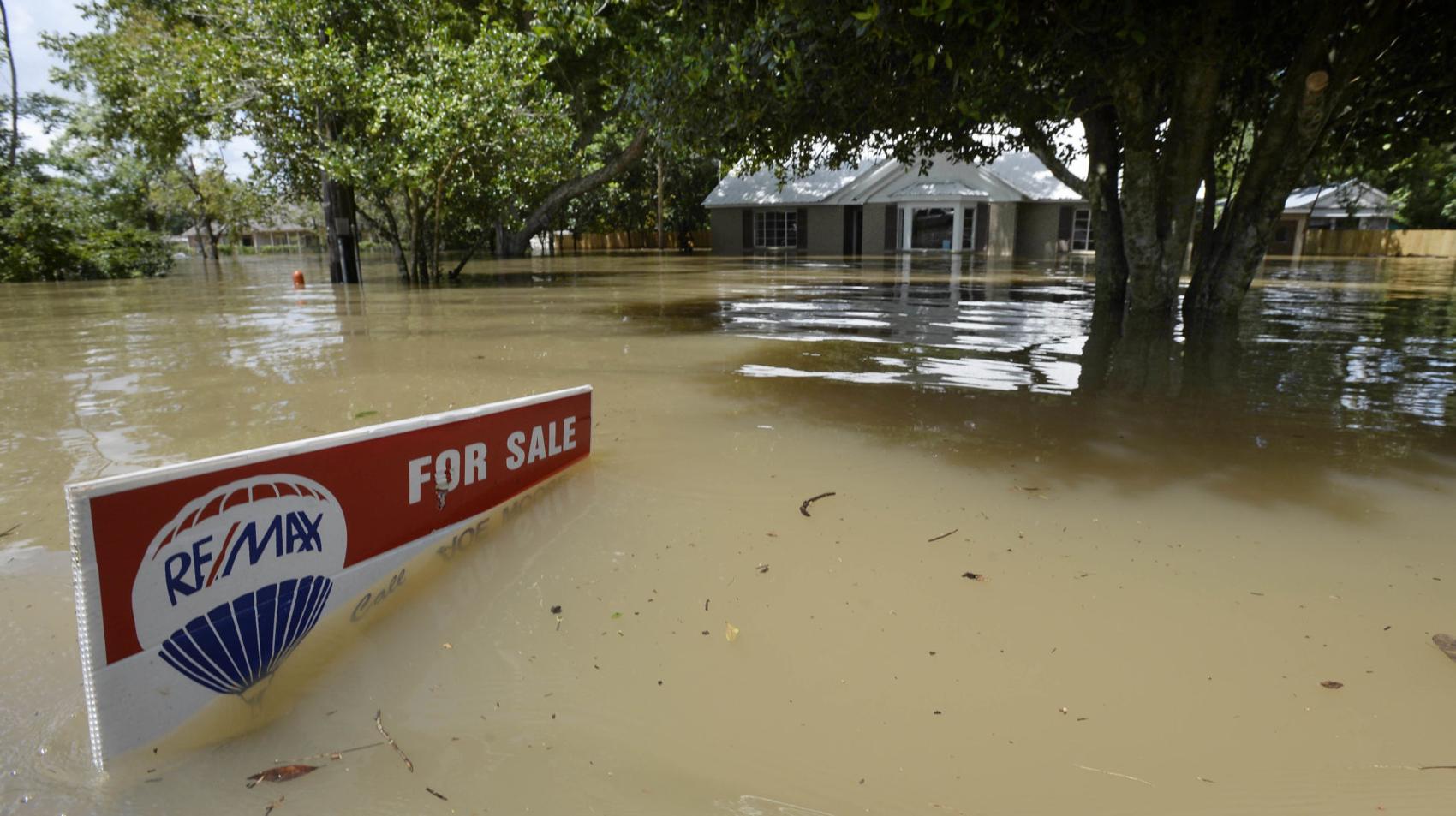 Buying a home with a water damage history