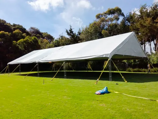 Gran carpa blanca para eventos en un campo de hierba con árboles al fondo.