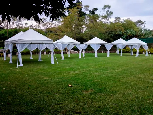 Carpas blancas para eventos instaladas en un parque cubierto de césped bajo los árboles.