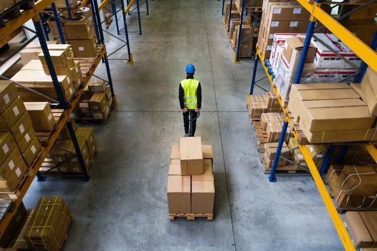 regular warehouse cleanouts