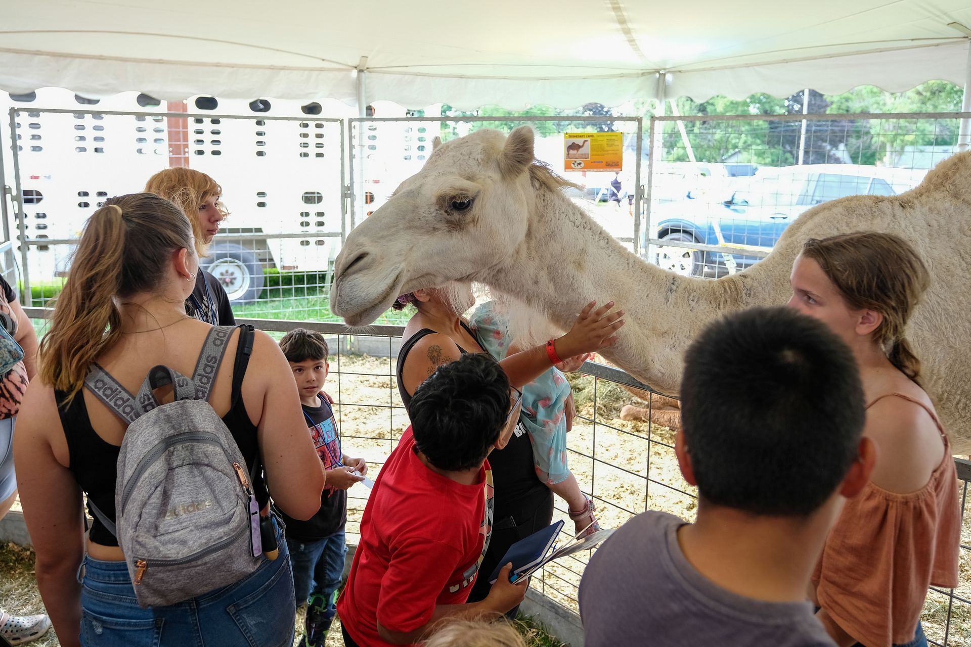 Crowd watches a life-sized T. rex puppet at an outdoor event behind a barrier.