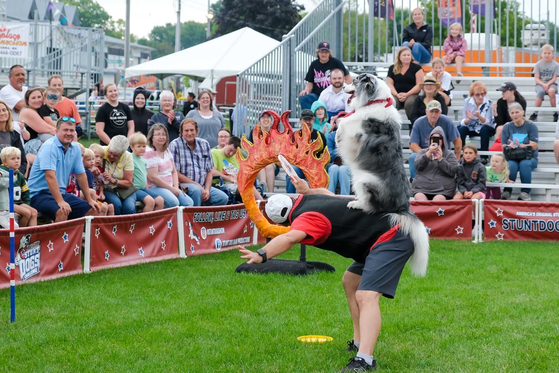 Performers in colorful costumes entertain a crowd at an outdoor festival arena.