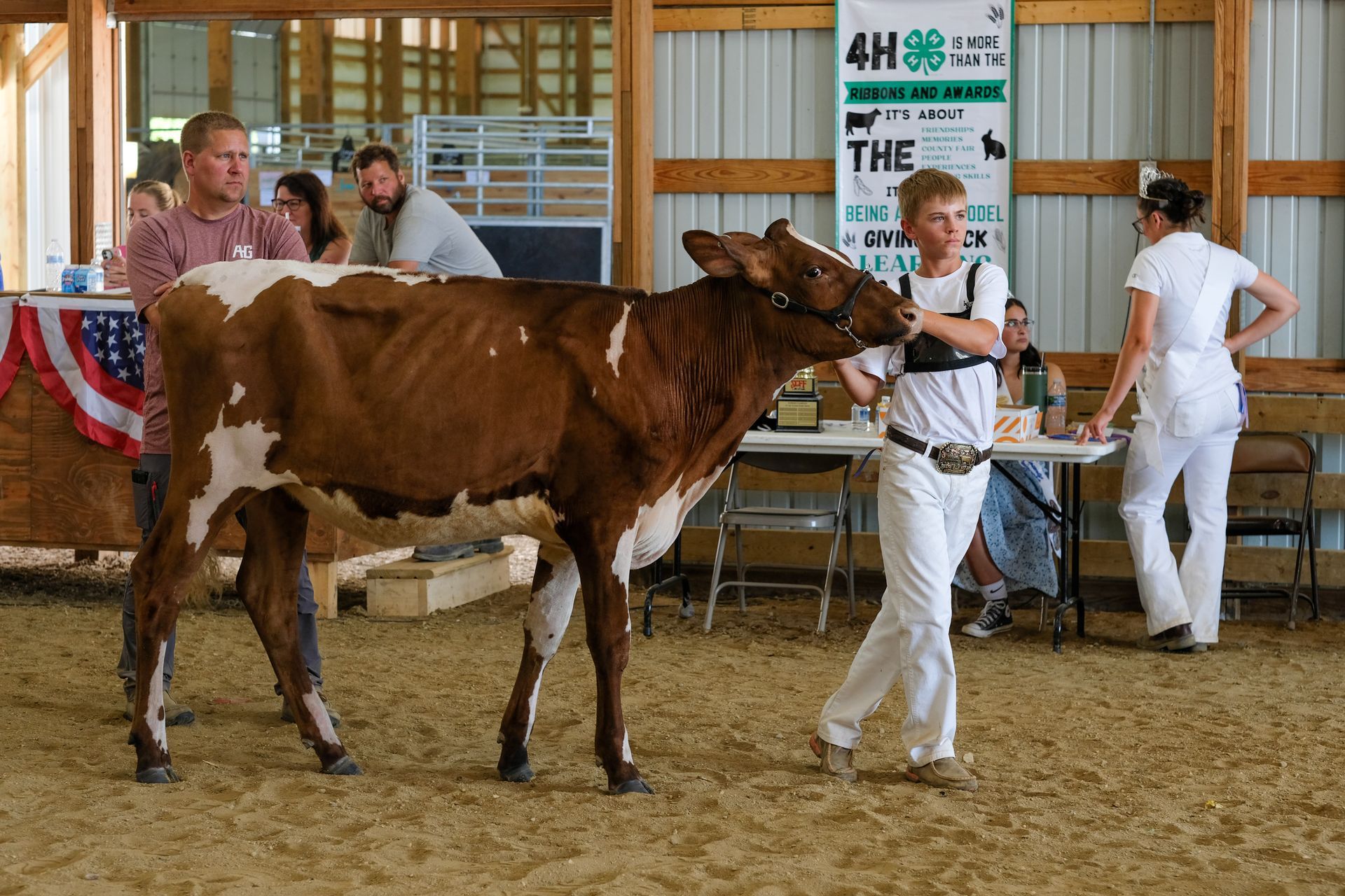 Teen in white outfit showing a brown and white cow in a barn at a 4-H show.