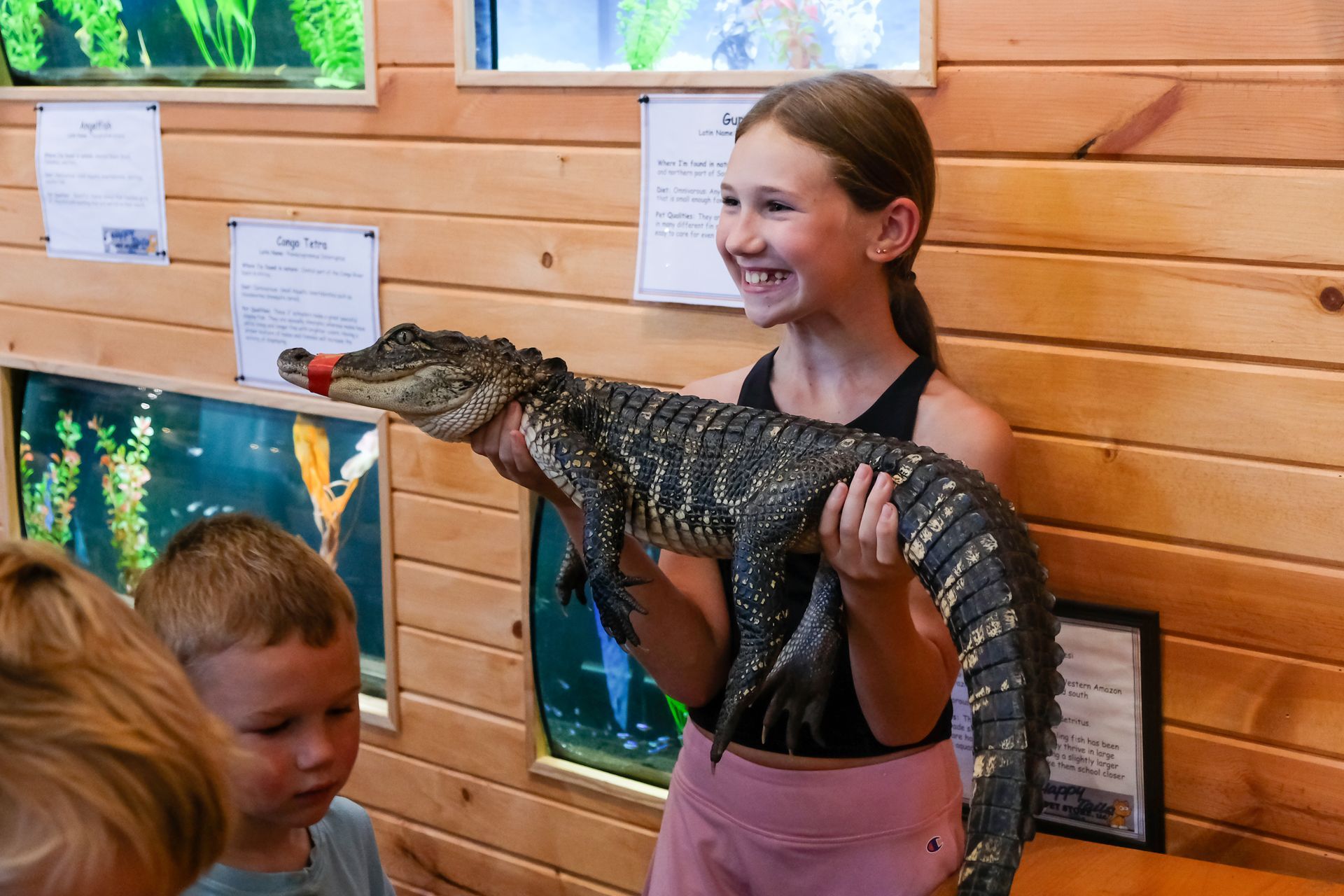 Girl smiling while holding a small alligator; two children watch in an exhibit.