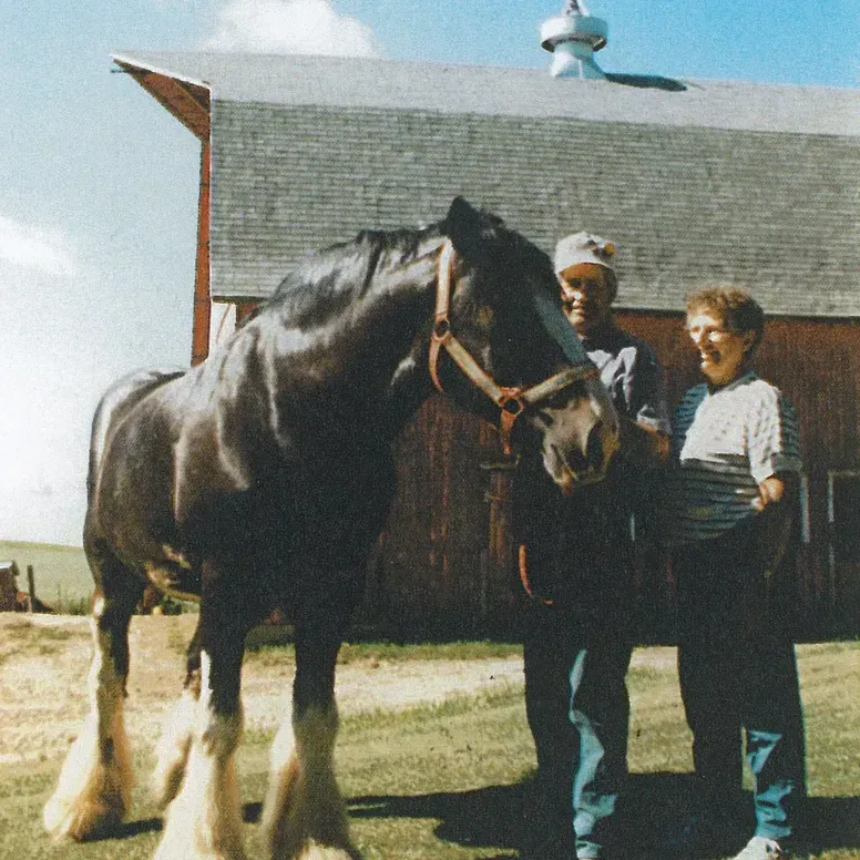 A black horse with white lower legs stands next to two people in front of a red barn.