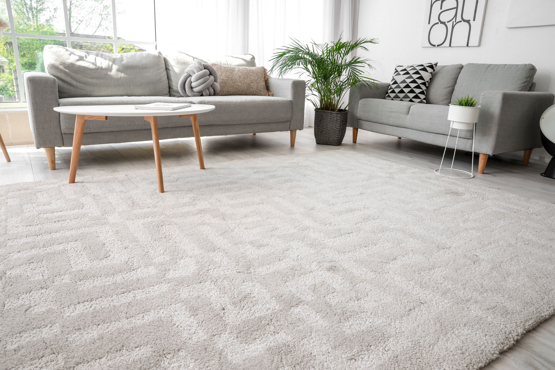Living room with gray sofas, white rug, coffee table, and plants. Bright living room with two gray sofas and a large light-gray rug by a window