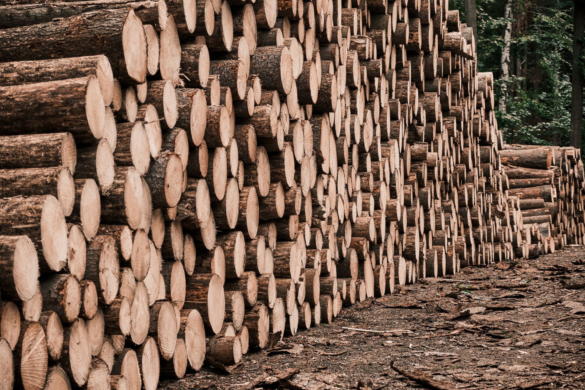 Pile of Firewood for Sale in Buxton, ME