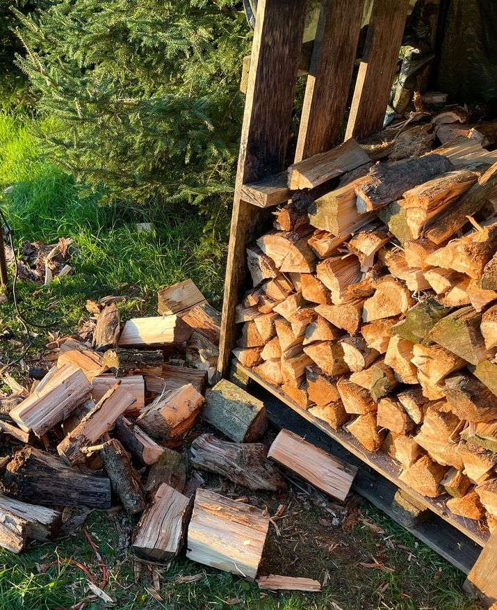 stack of green firewood in pallet