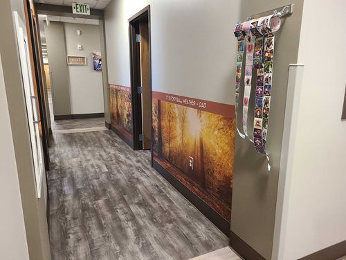 Hallway with wood-look flooring, light gray walls, and nature mural along the lower wall. Exit sign above doorway.