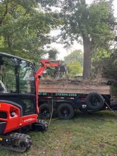 Red mini excavator loading debris into a black dump trailer in a wooded yard.