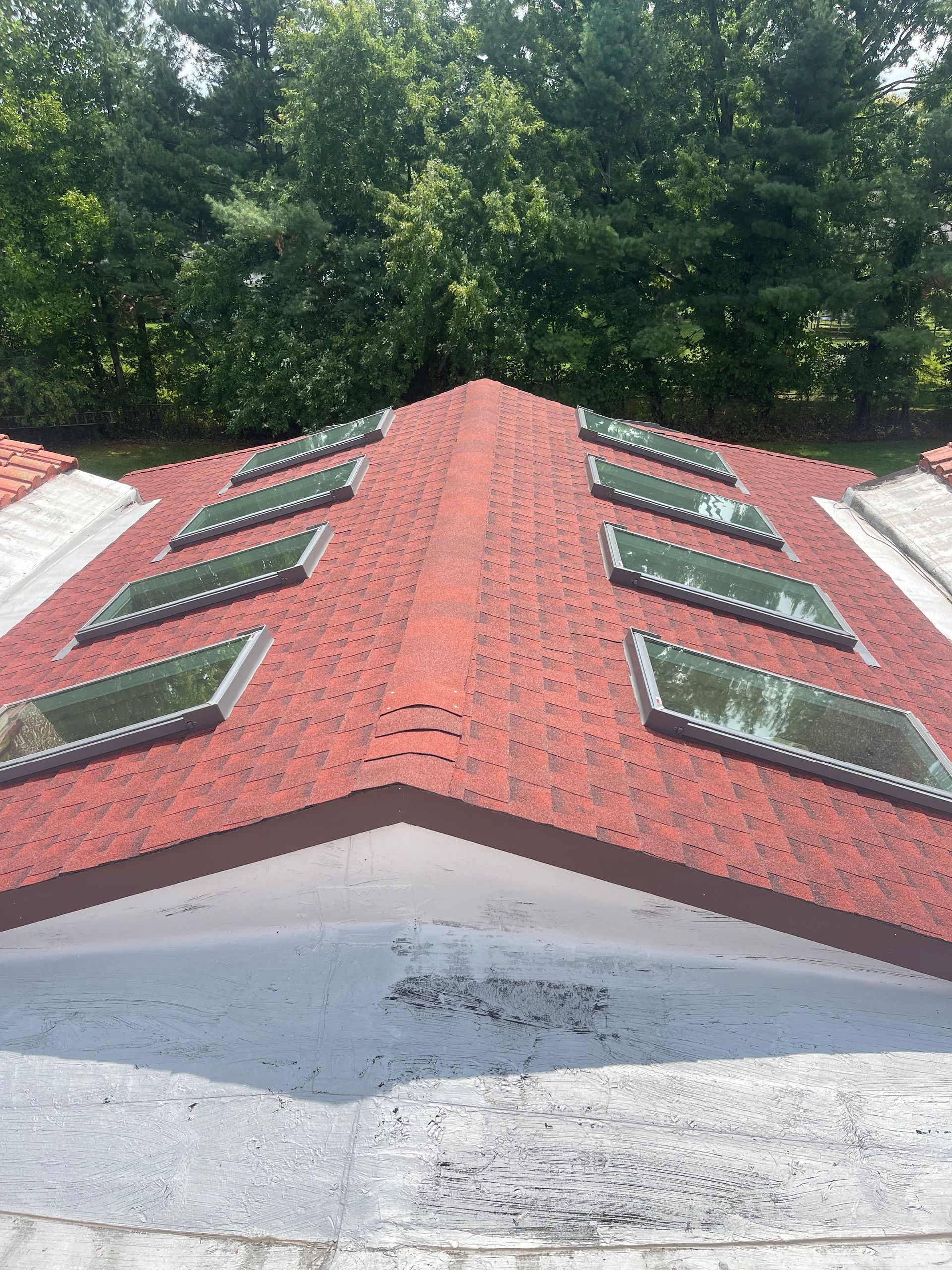 Red roof with skylights, viewed from above, with green trees in the background