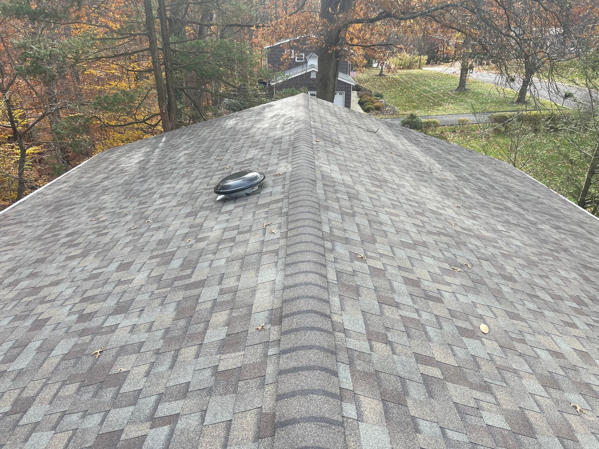 Gray shingled roof seen from above with a small vent, surrounded by autumn trees.