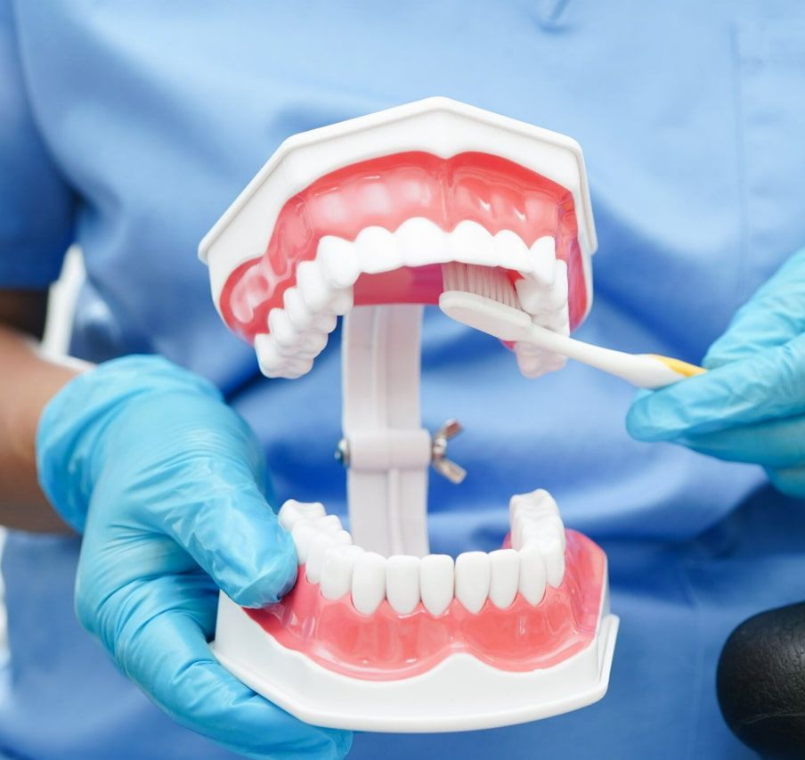 A Person Is Brushing A Model Of Teeth With A Toothbrush — Mittagong Dental Care In Mittagong, NSW