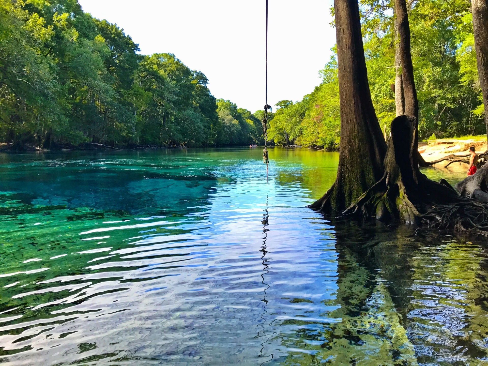 Clear spring with cypress trees in the Florida Panhandle