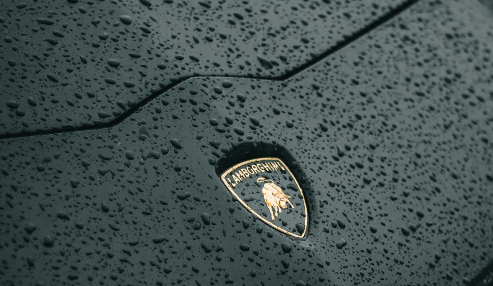 A close up of a lamborghini emblem on a wet surface.
