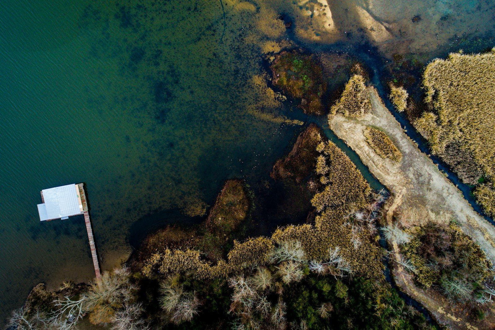 Aerial view of streams meeting and flowing into a lake near Guntersville, Alabama