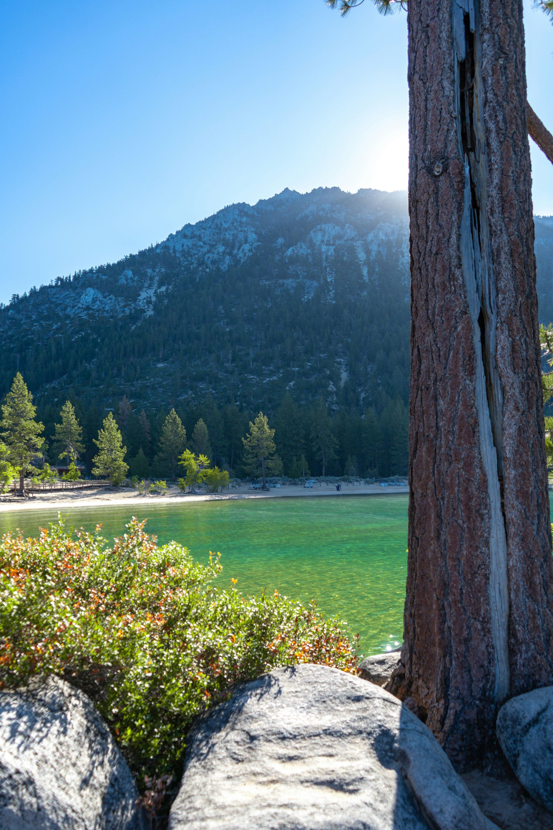 Mountains and Lake Tahoe seen from behind a tree at Lake Tahoe Nevada State Park