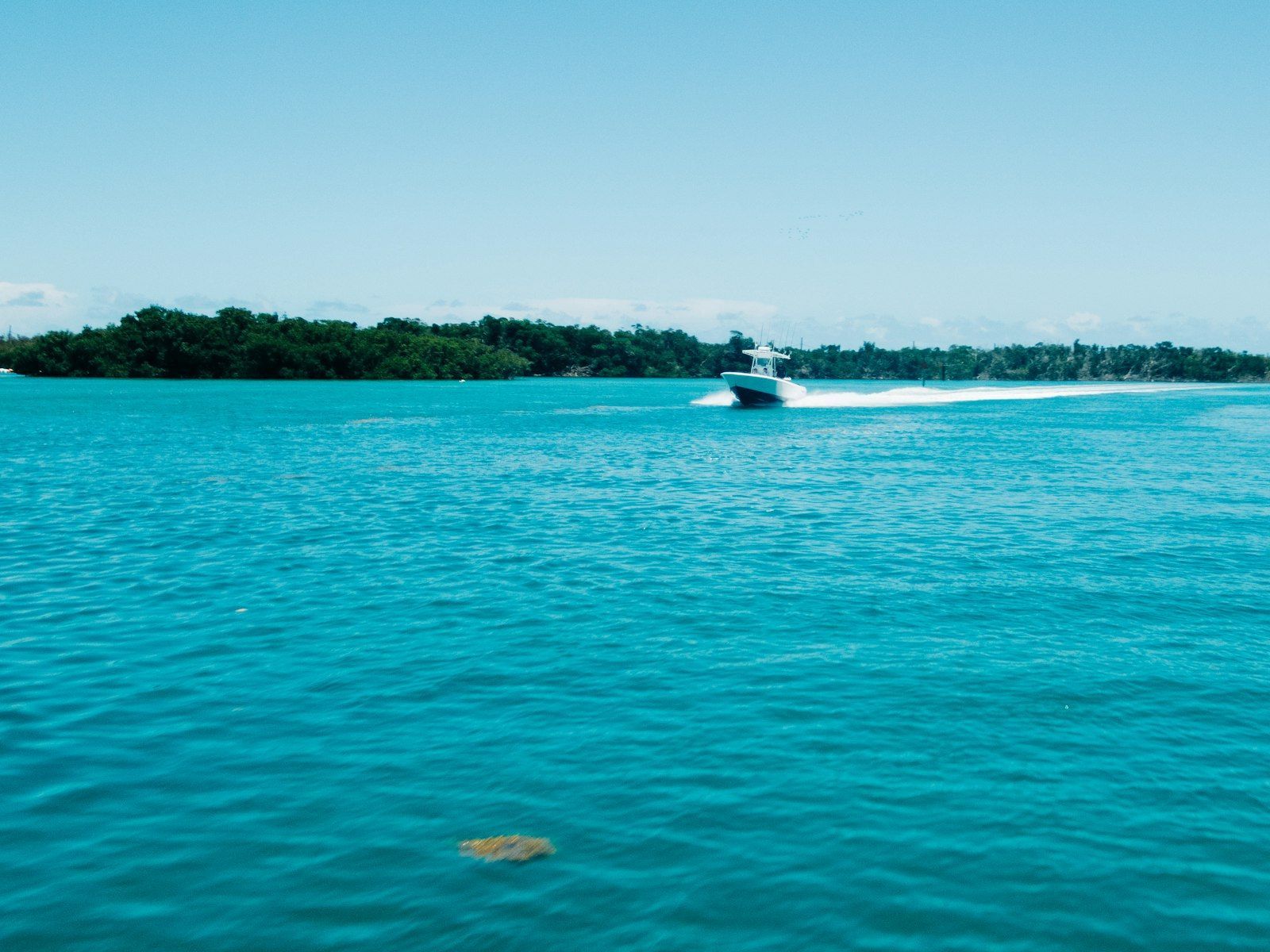 White and blue boat on clear water at Stock Island in the Florida Keys