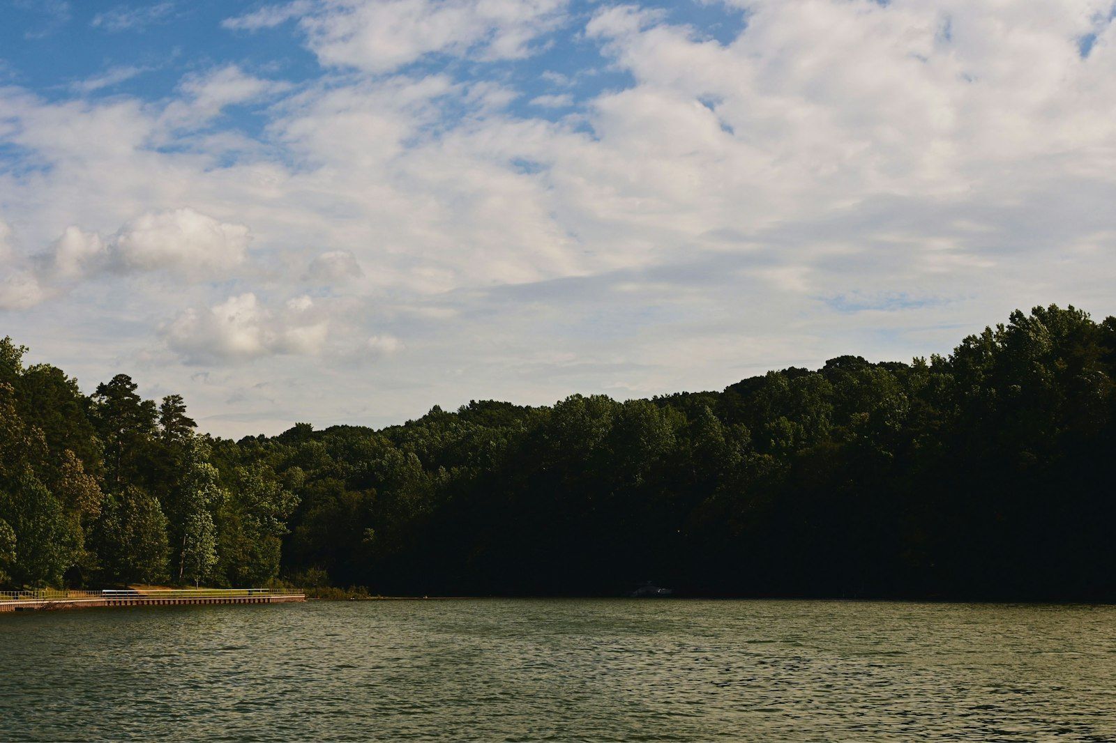 Lake Lanier and its tree-lined shore under a partly cloudy sky in Georgia