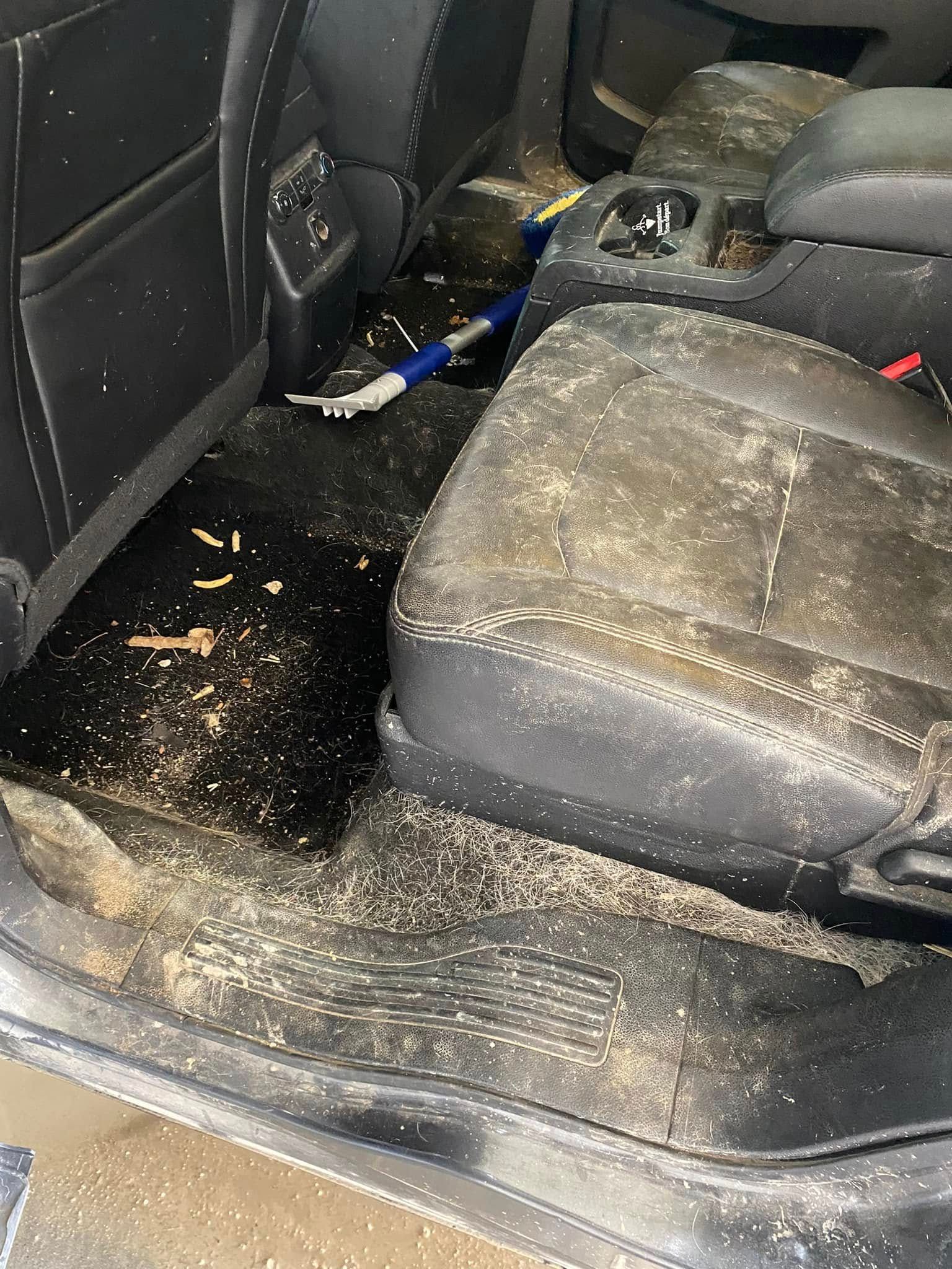 Dirty car back seat with scattered crumbs and debris on the black floor and seat.