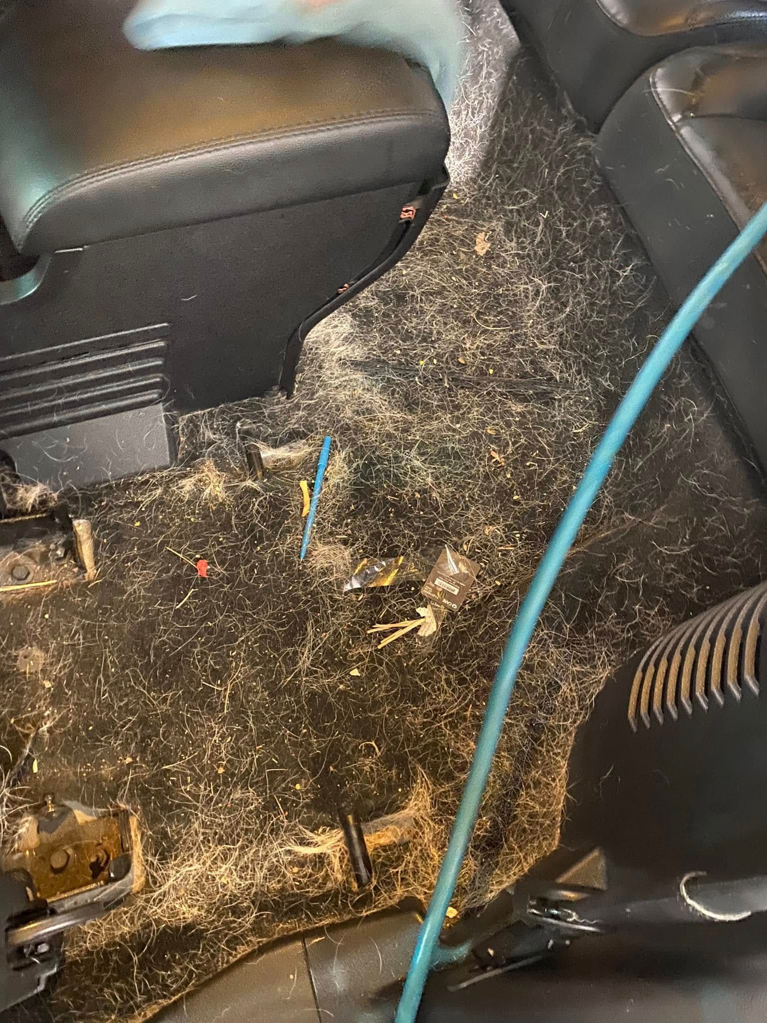 Car floor with dirty black carpet, two seat bases, and a blue cable running across it