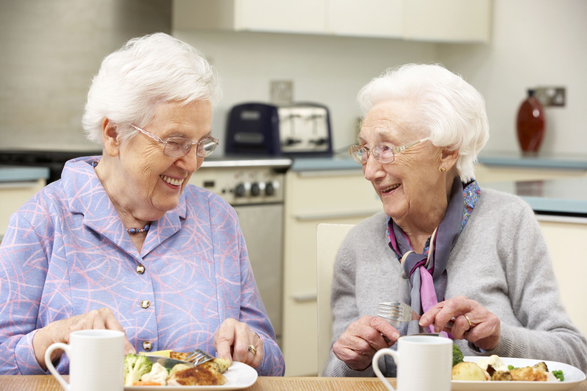 Elderly Meal Preparation in Menominee, MI