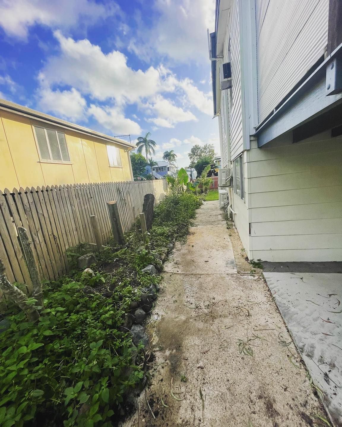 Narrow Concrete Path Between a Building and Overgrown Vegetation. Cloudy Sky Above — Bailey's Bobcat & Excavator Hire In Dumbleton, QLD