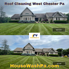 roof cleaning company