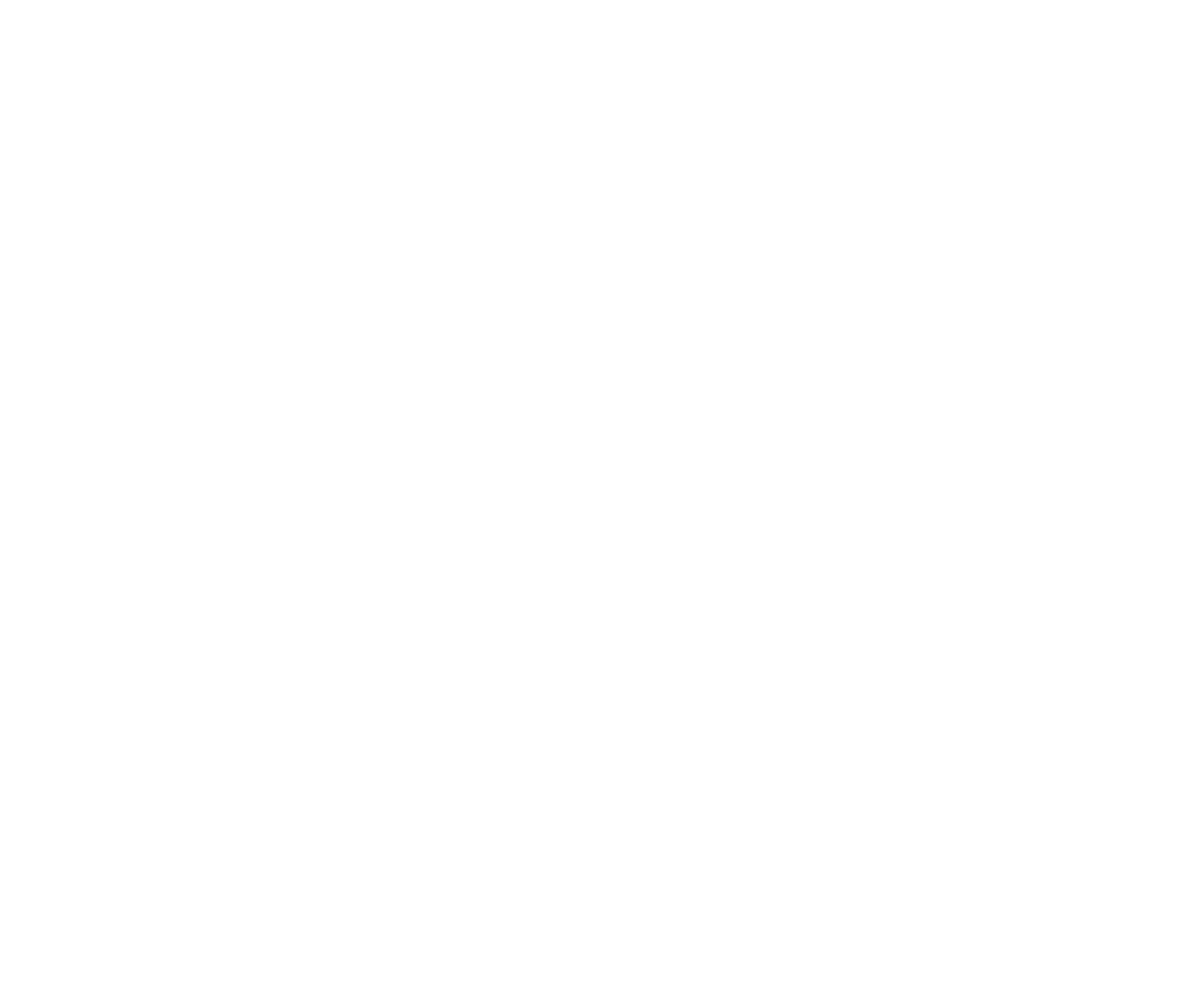 cellervell_logo