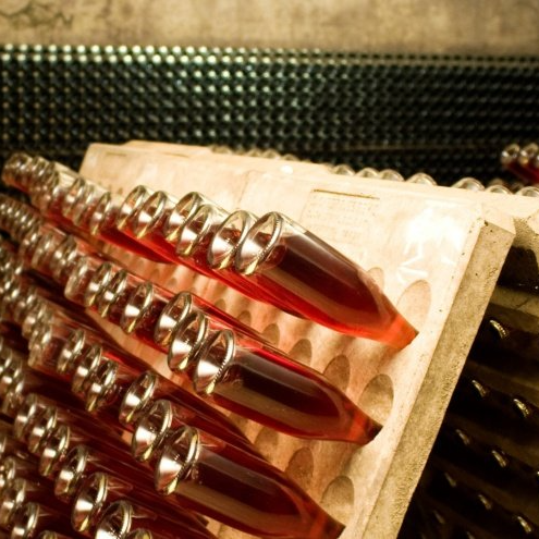 cellervell_cellar