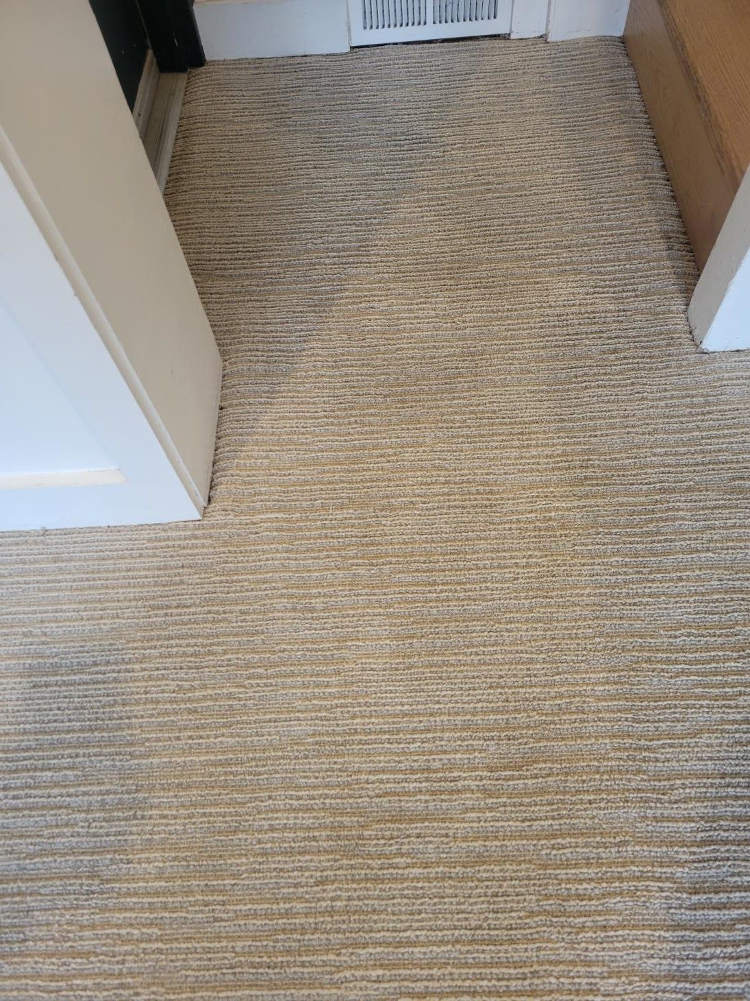 A close up of a carpeted floor in a room.
