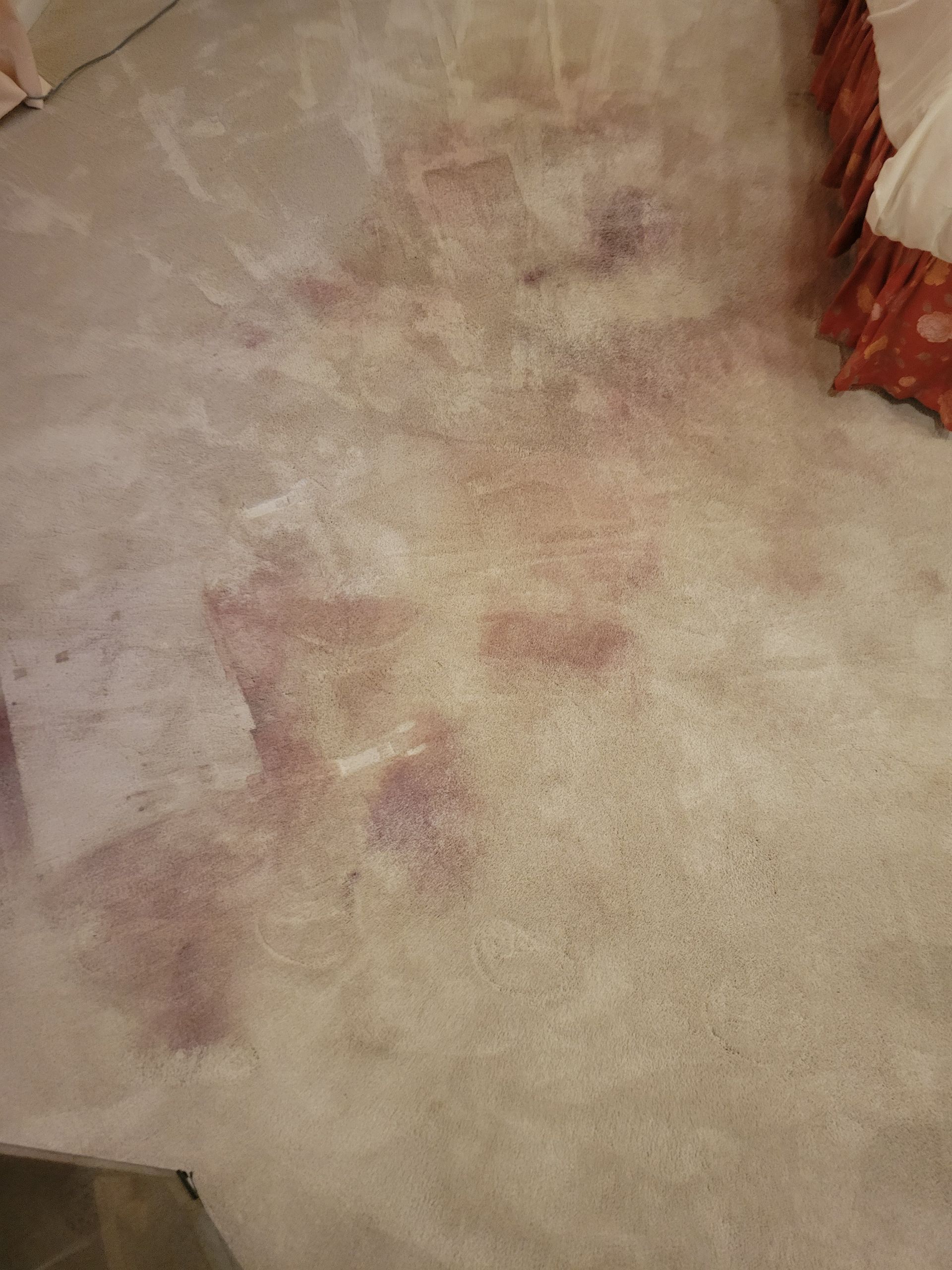 A white carpet with red stains on it in a bedroom.
