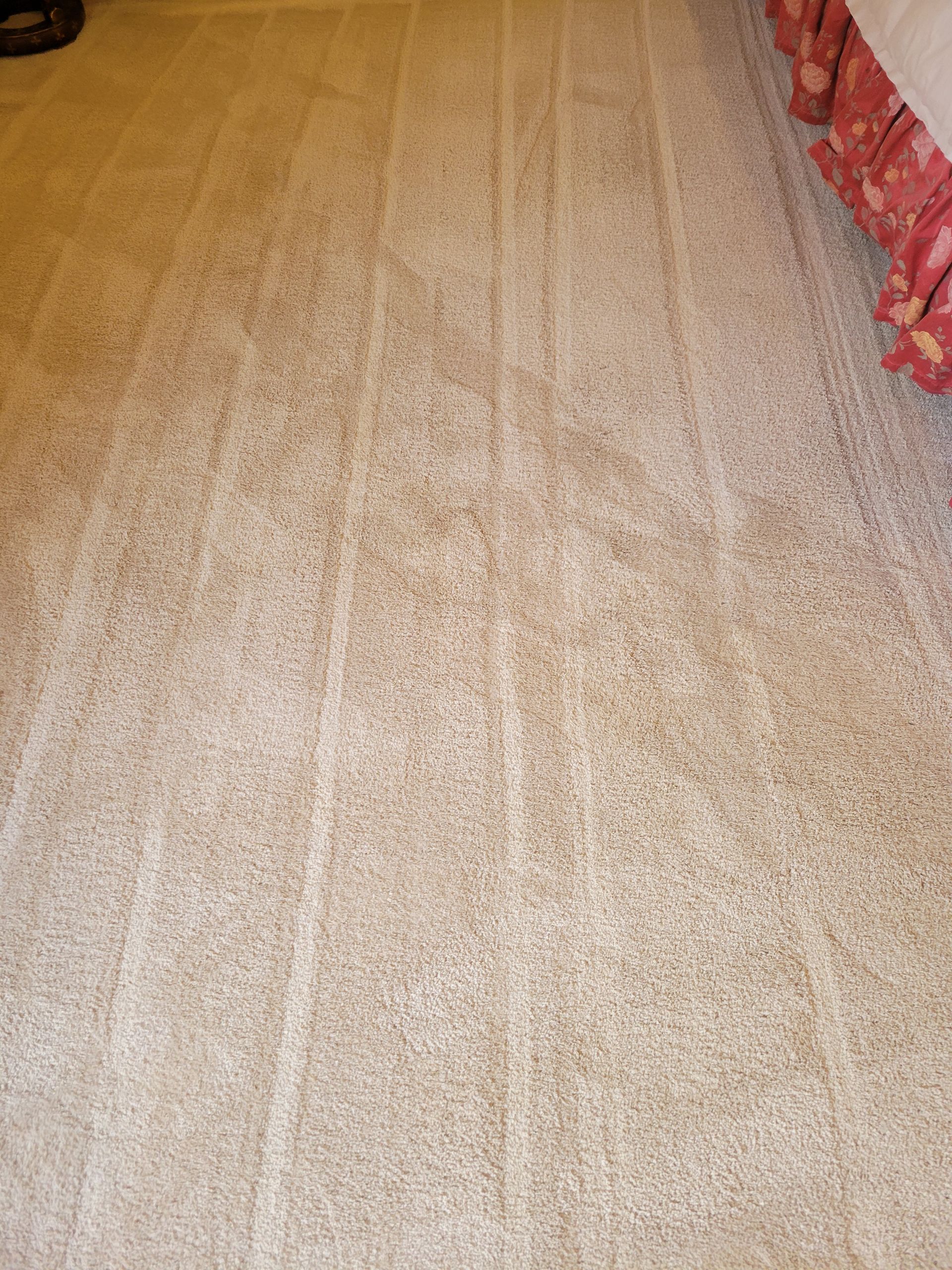 A close up of a carpeted floor in a bedroom with a bed in the background.