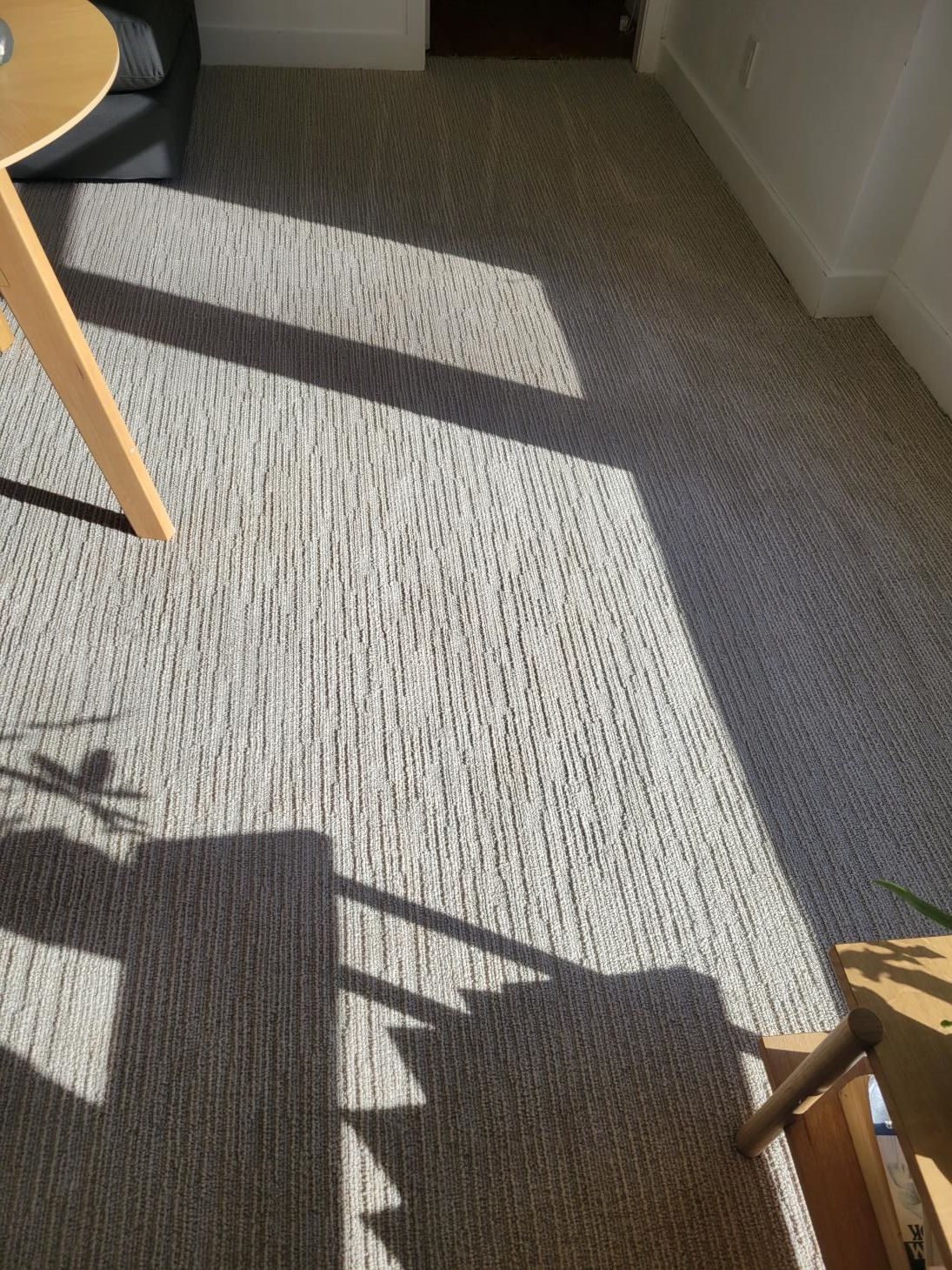 A shadow of a chair is cast on a carpet in a living room.