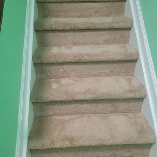 A set of stairs with carpeted steps and a green wall.
