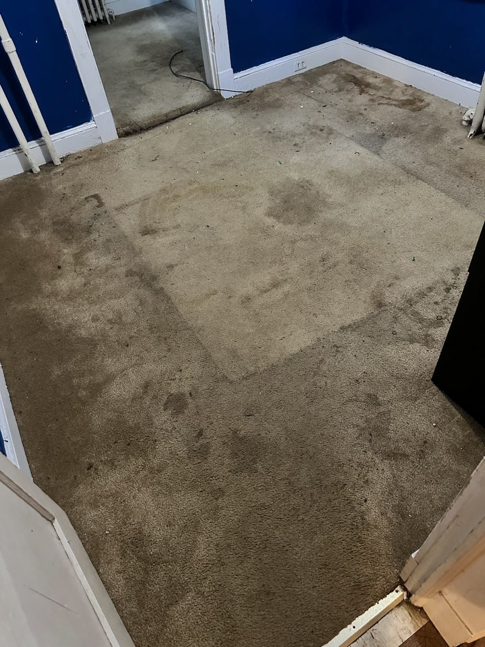 A dirty carpeted floor in a room with blue walls.