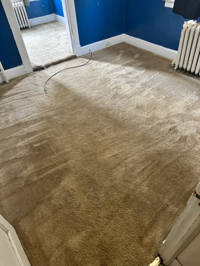 A room with a carpeted floor and blue walls.