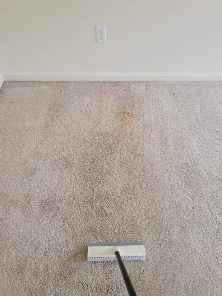 A broom is being used to clean a dirty carpet in a living room.