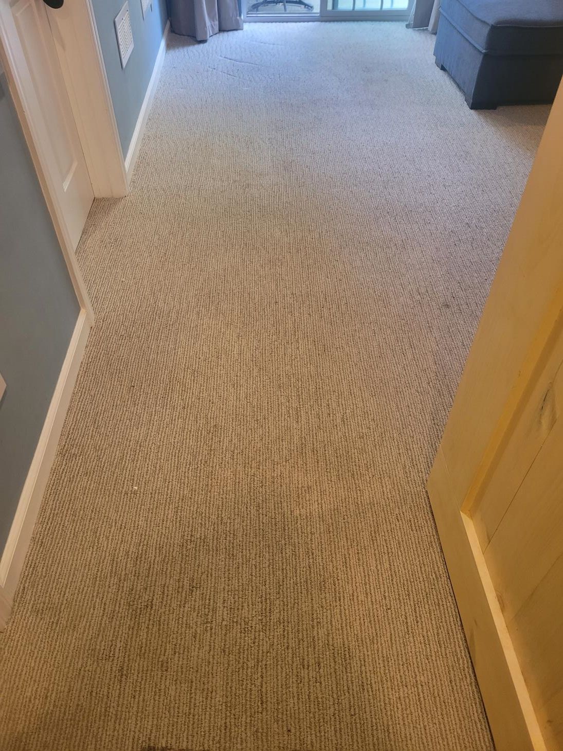 A hallway with a carpeted floor and a door leading to a living room.