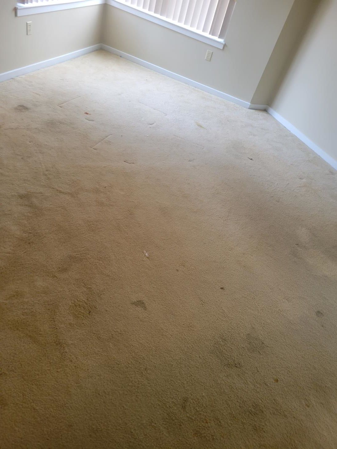 A room with a dirty carpet and a window.