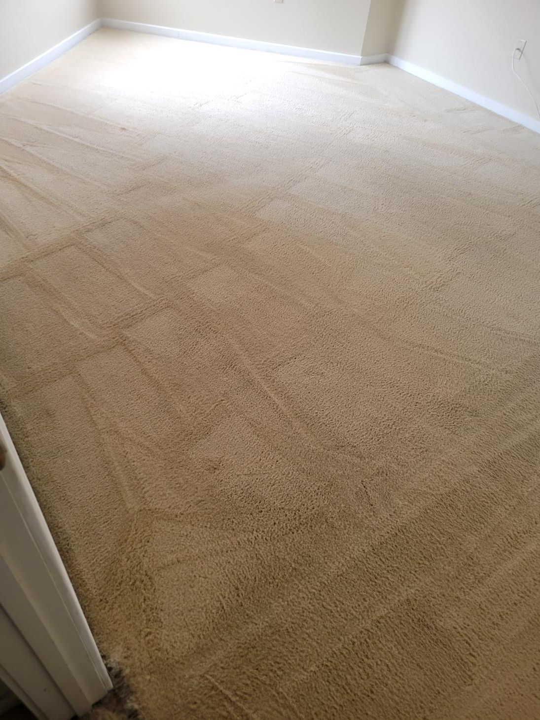 A room with a carpeted floor and a door.