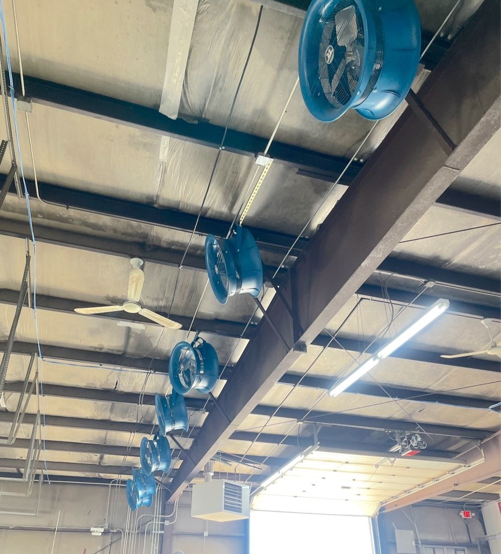 A bunch of blue fans are hanging from the ceiling of a building