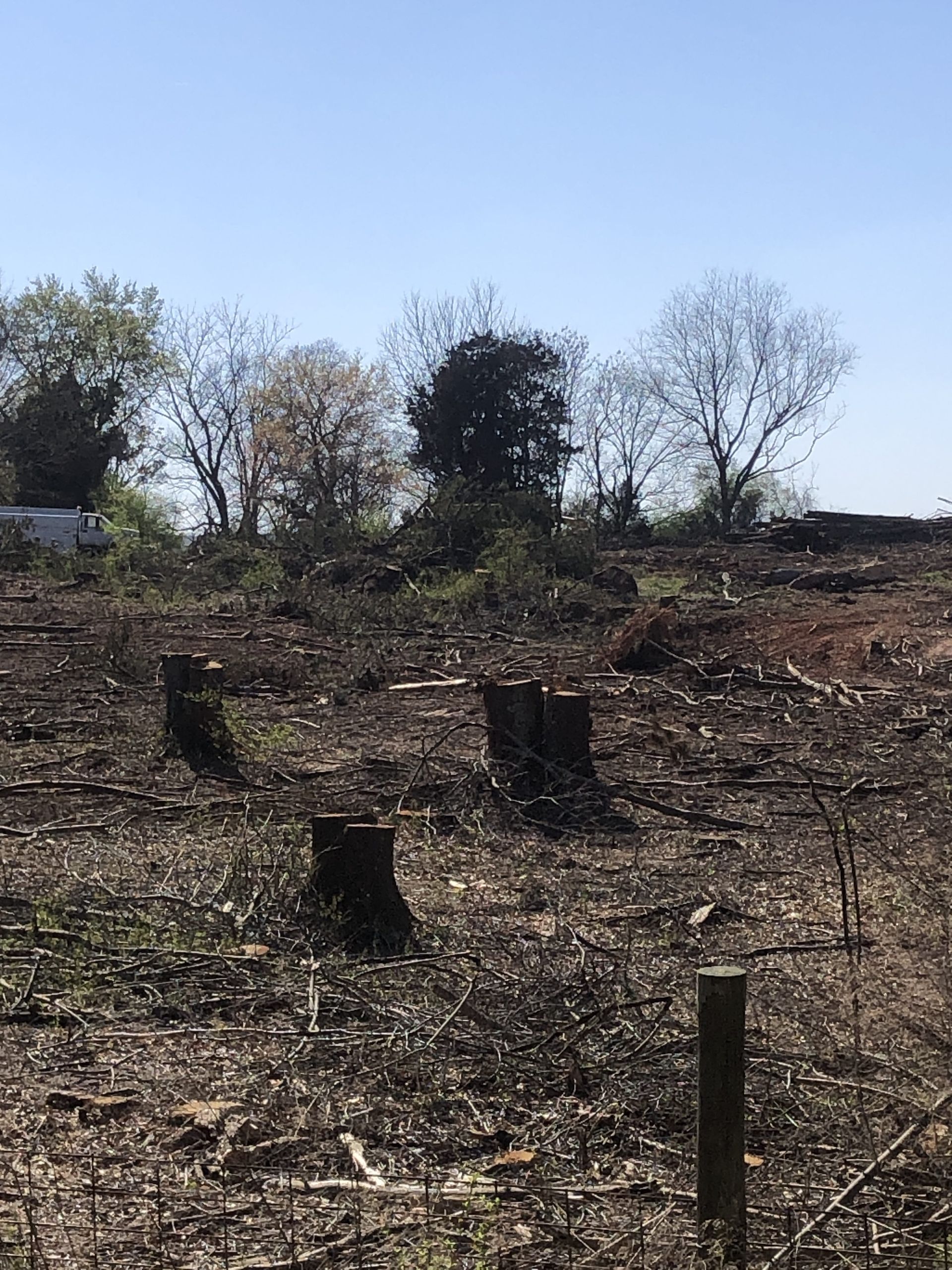 Brush removal on Florida lot for a clear property surface.