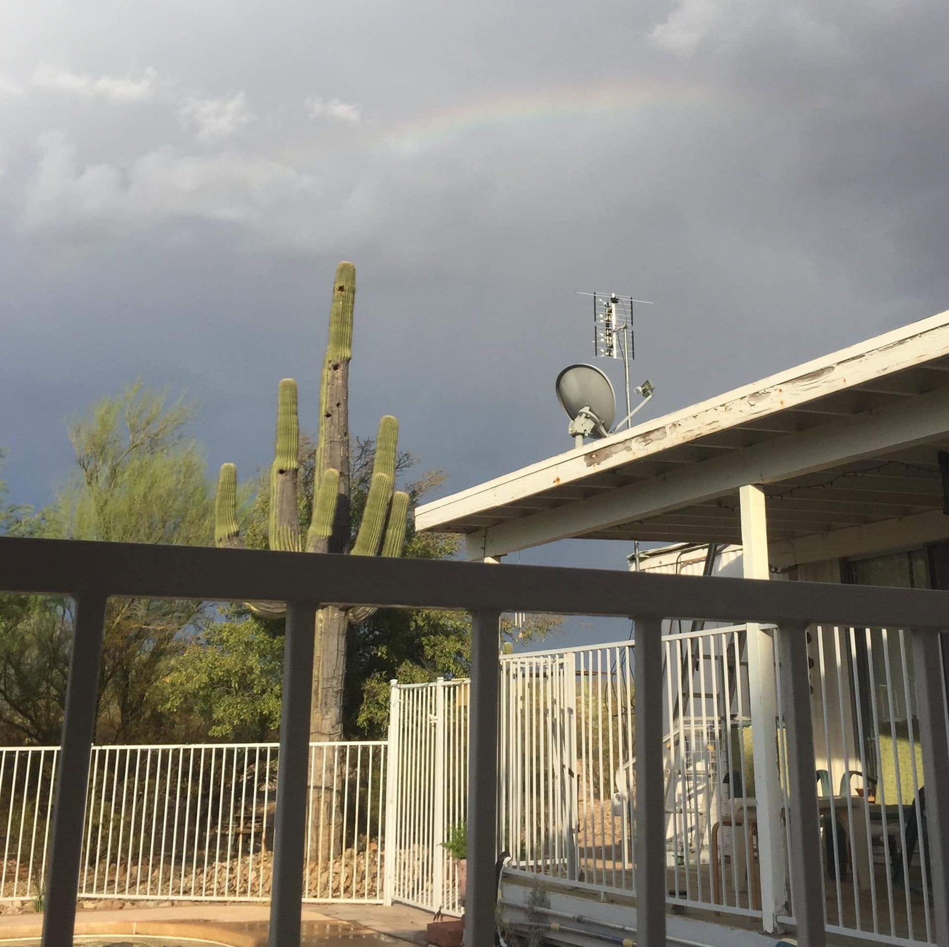 Residential patio with white fence, tall cacti, and a cloudy sky with a faint rainbow.