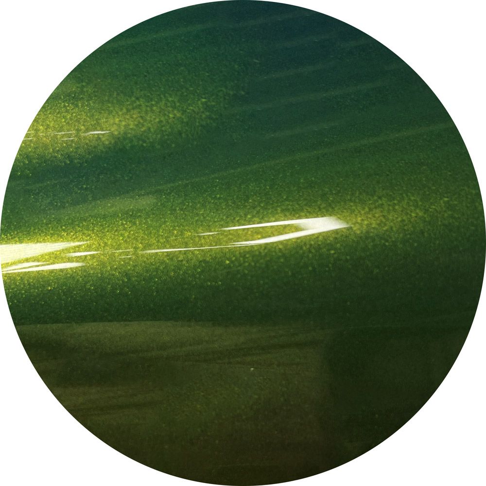 A close up of a green circle with a white background