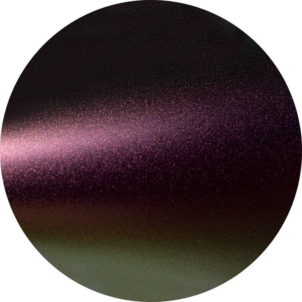 A purple and green circle with a white background