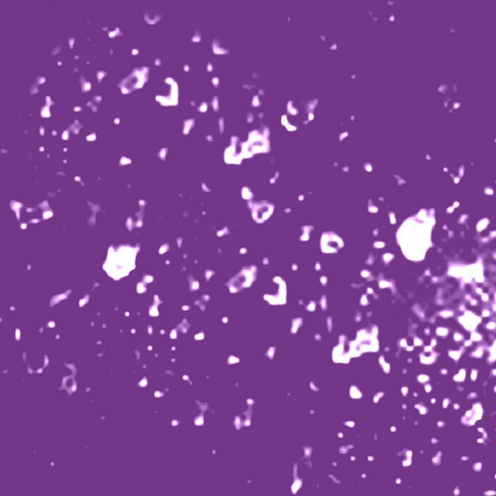White, irregularly shaped splatters on a deep purple background.