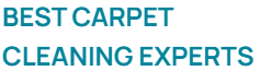 Best Carpet Cleaning Experts